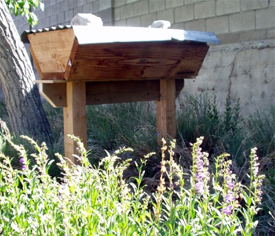Topbar Beehive with blooming Penstemon