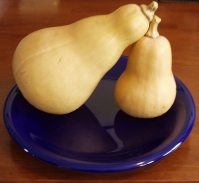 Butternut Squash Butternut Squash