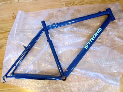 Repaired Strong Mountain Bike Frame